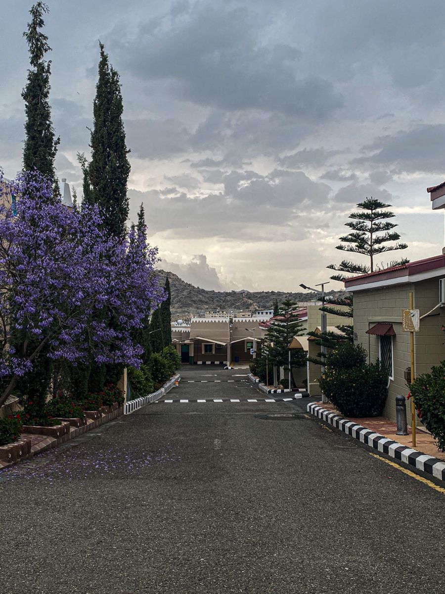 Taif