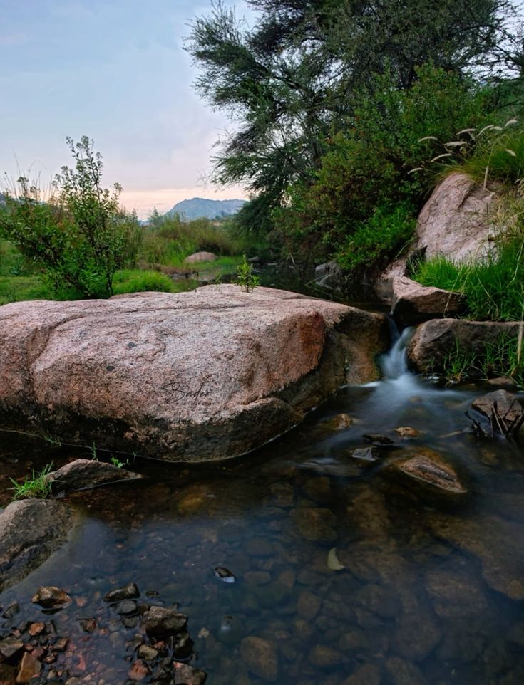 Taif
