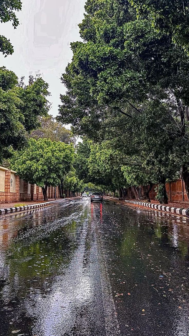 Taif 5
