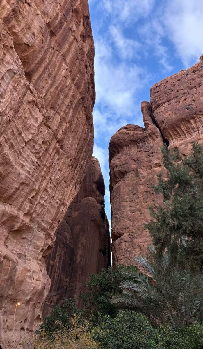 AlUla 4